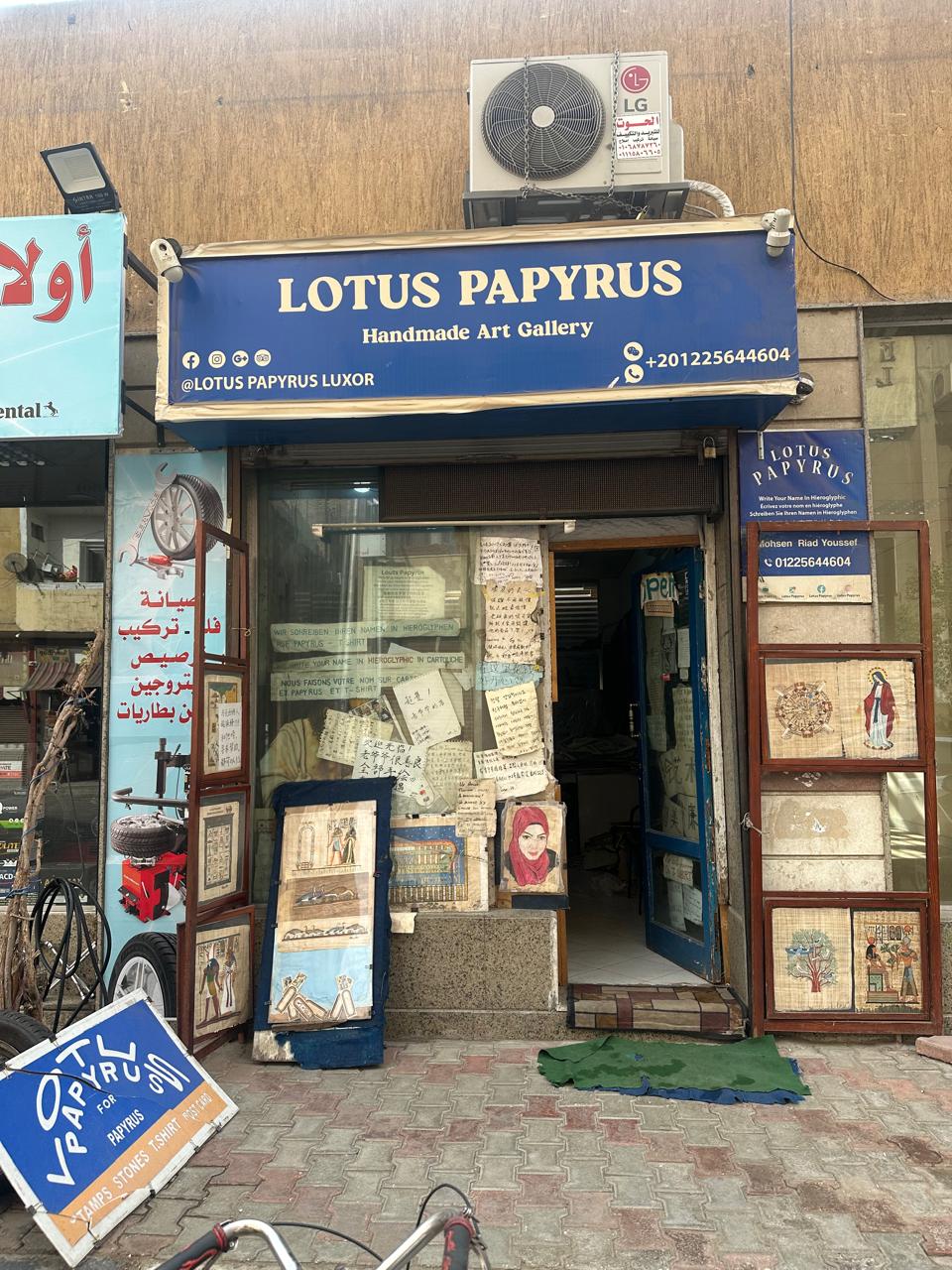  Lotus Papyrus gallery store